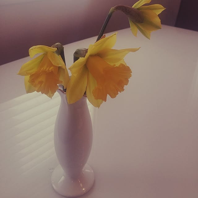 canaさんの実例写真