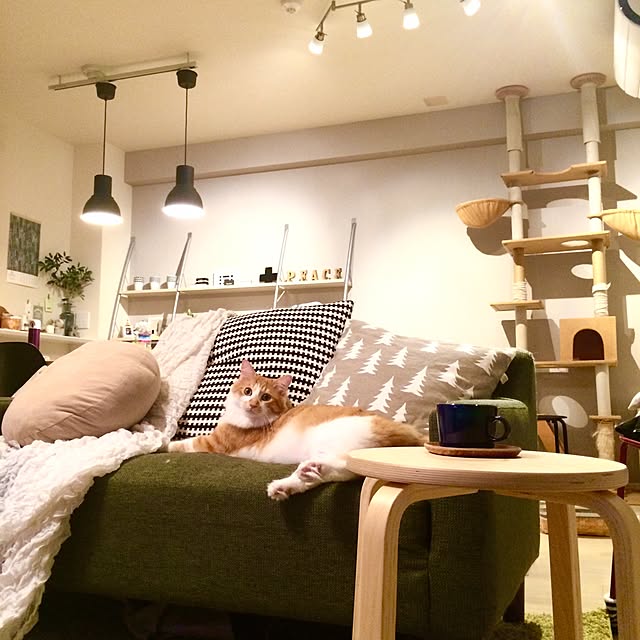 Reikoさんの実例写真
