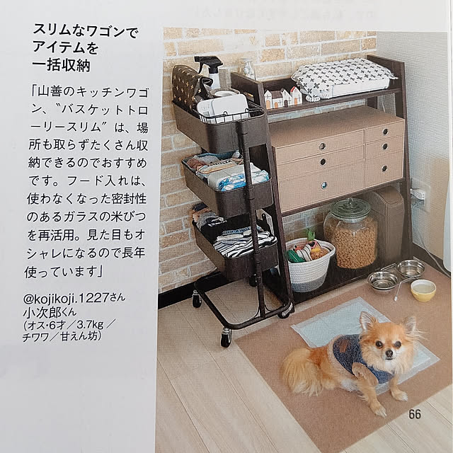 kojikojiさんの実例写真