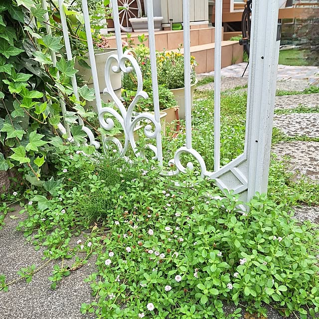 Blancheさんの部屋