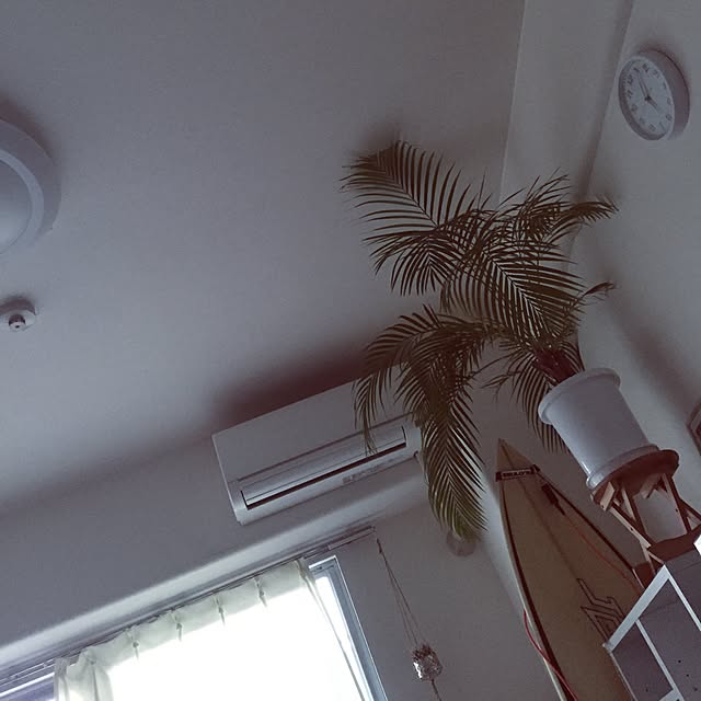 usayakai312さんの実例写真