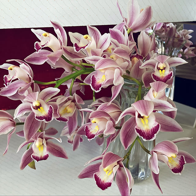 CoCo0617さんの実例写真