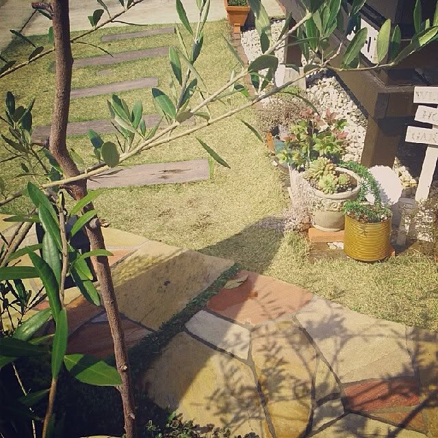 accoさんの実例写真