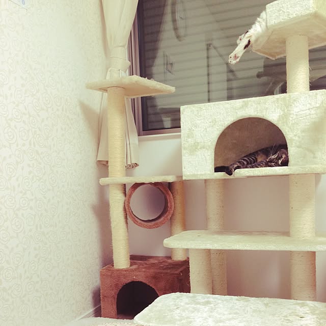pekopekomanさんの実例写真