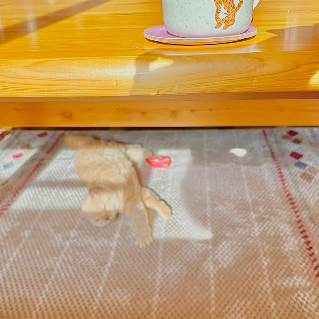 naokoさんの実例写真