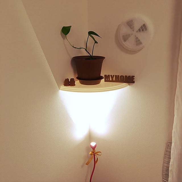 Ivyさんの実例写真