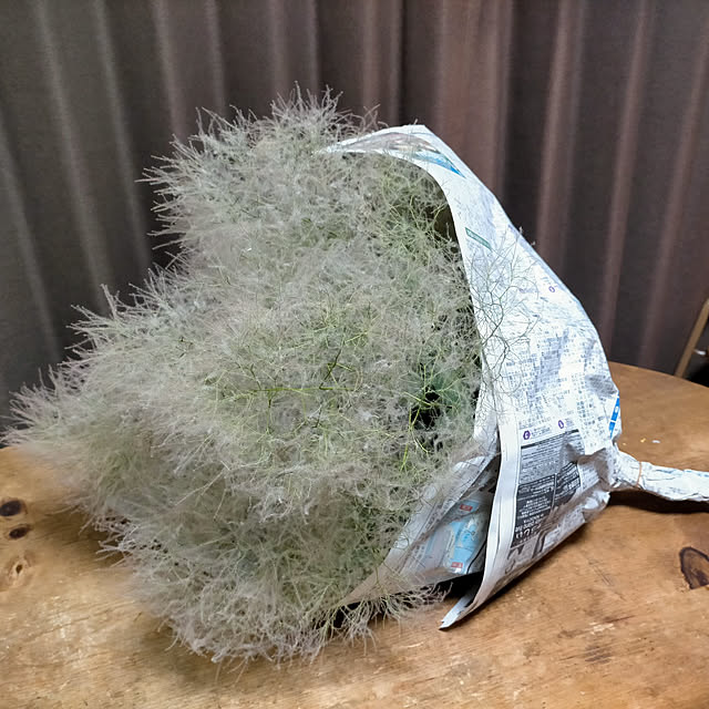 michiさんの実例写真