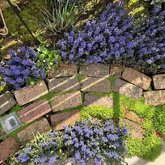 kyoko1124koさんの部屋