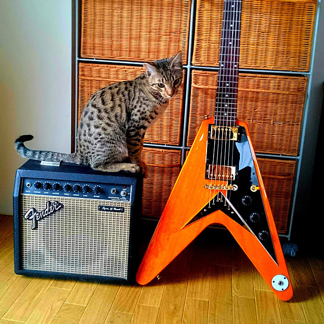 ken.kawakamiさんの実例写真