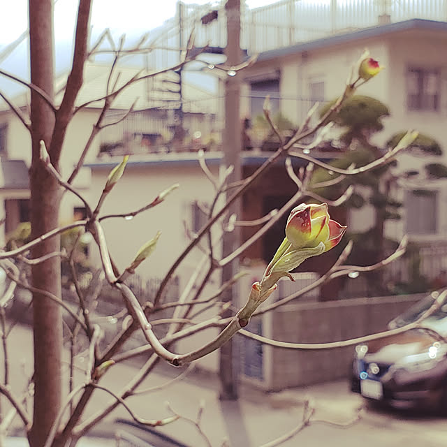 masaさんの実例写真