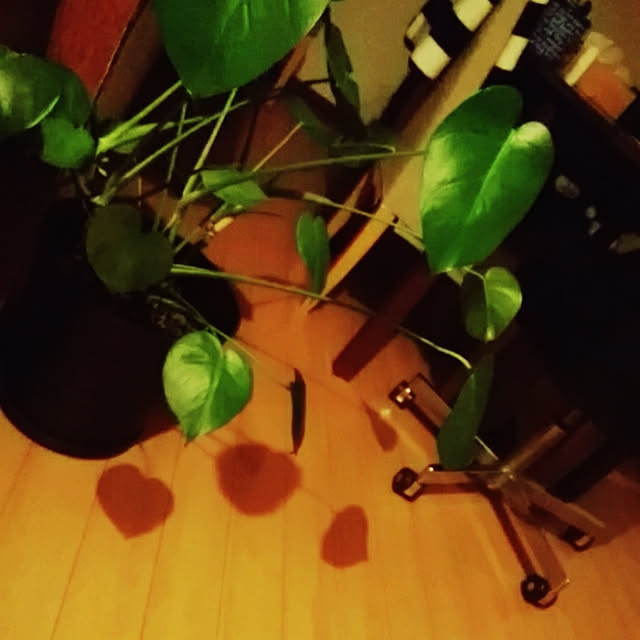 mikoさんの実例写真