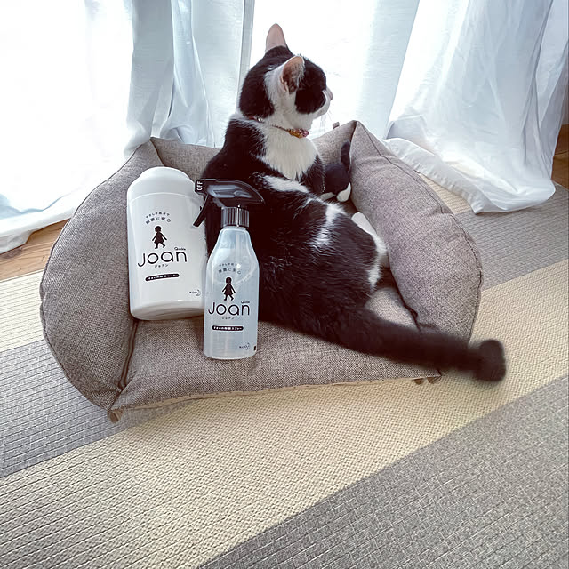 nekosamaさんの実例写真