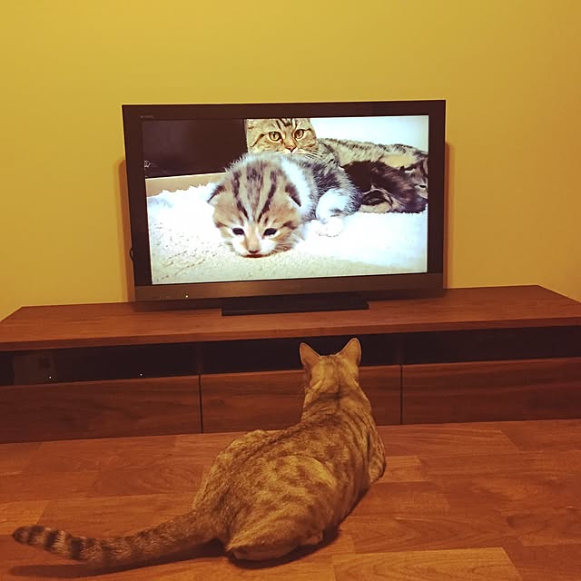 Akitoさんの実例写真