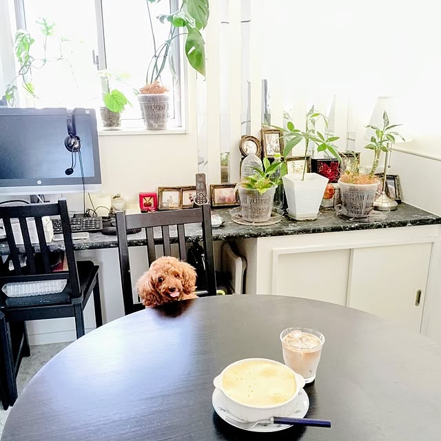 MOMOMAMAさんの実例写真