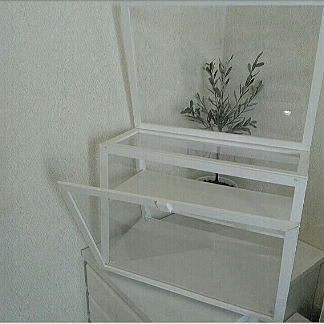 heart.emiemi57.whiteさんの実例写真