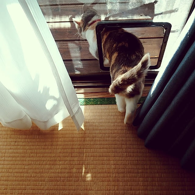 fukuさんの実例写真