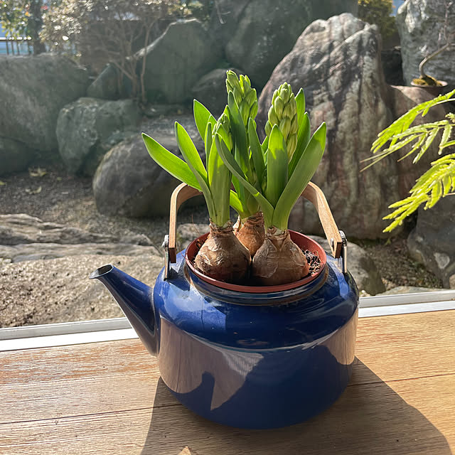 shin0719さんの実例写真