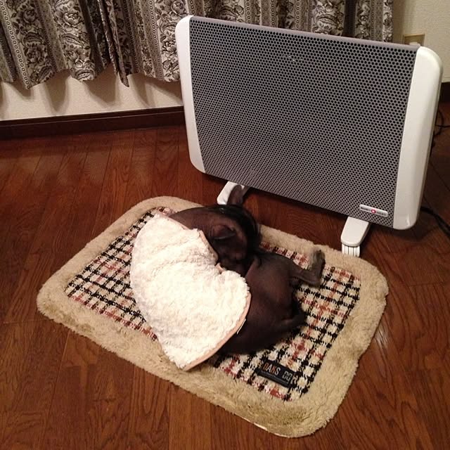 Kumikoさんの実例写真