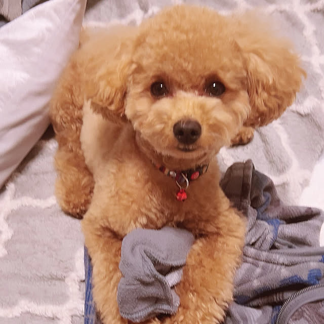 makiさんの実例写真