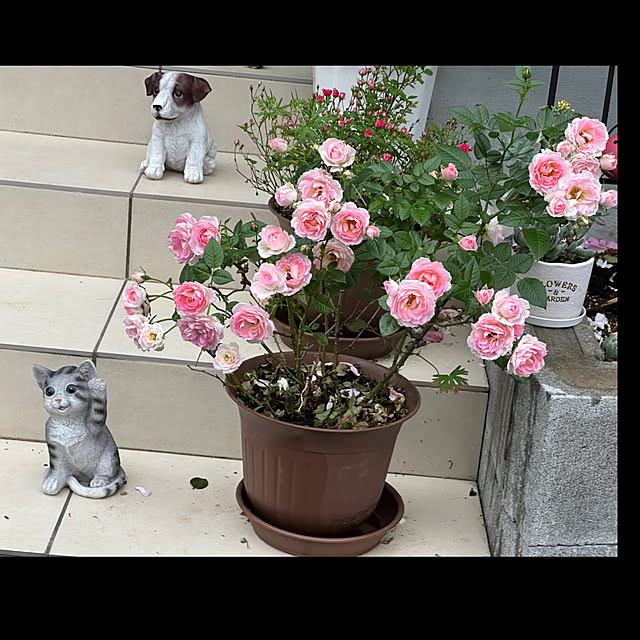 Hさんの部屋
