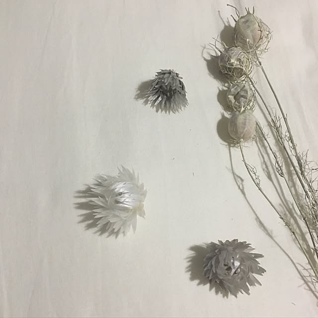 michiさんの実例写真