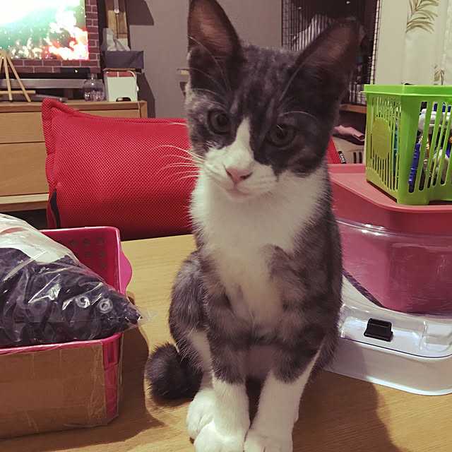 NEREさんの実例写真