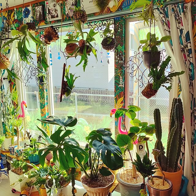 nacchanさんの部屋