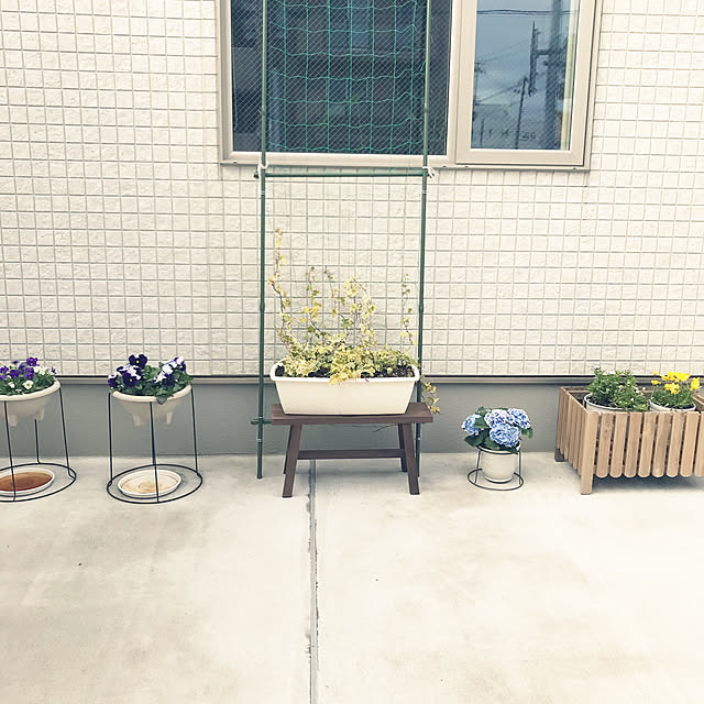 minminさんの実例写真