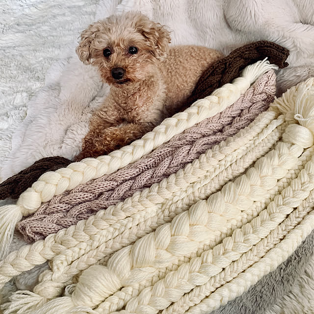 Momoさんの実例写真