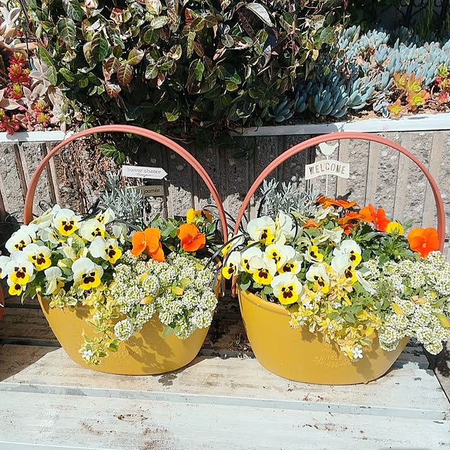 mukkuさんの部屋