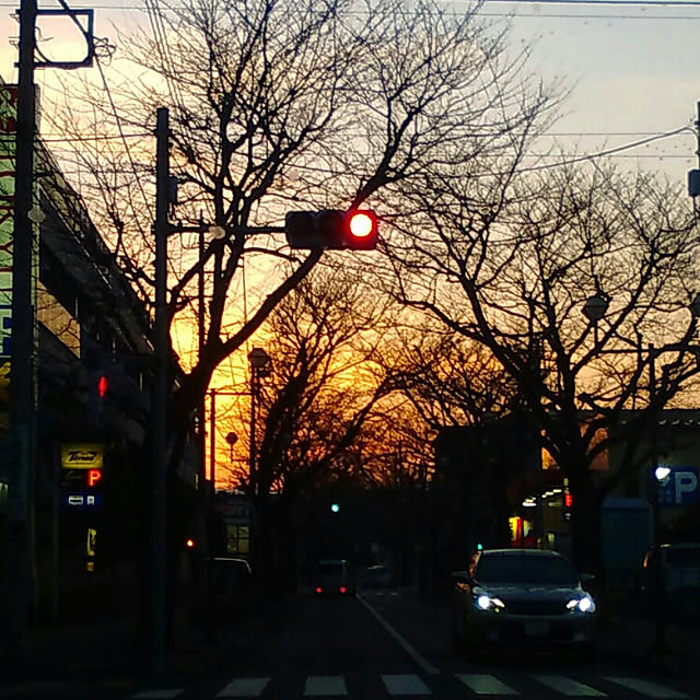 実例写真