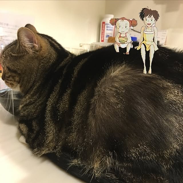 mikomaruさんの実例写真