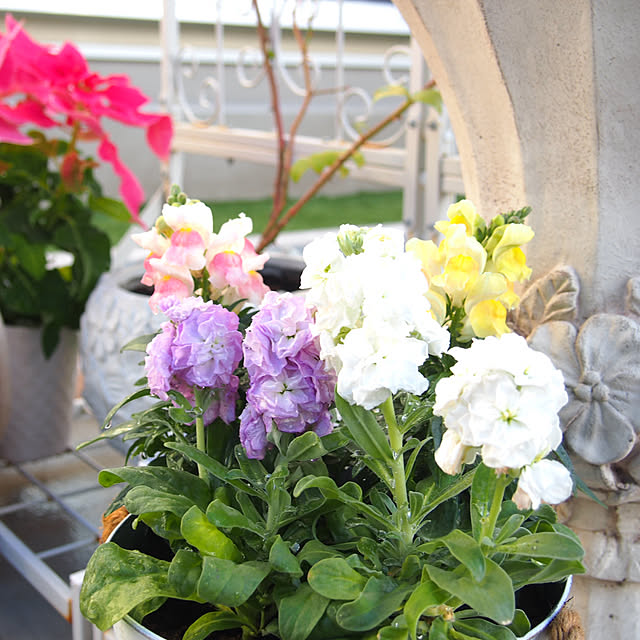 nekotaさんの実例写真