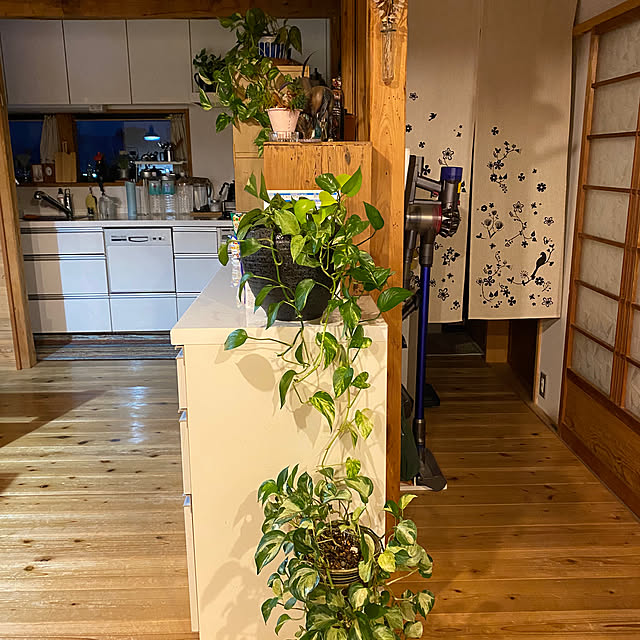 keikoさんの部屋