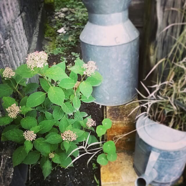 mugi-fukuさんの実例写真