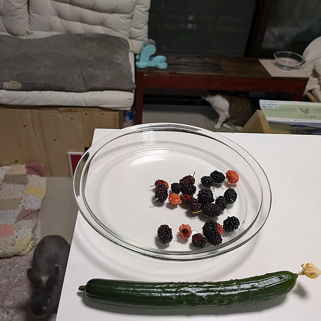 mori_6_12さんの部屋