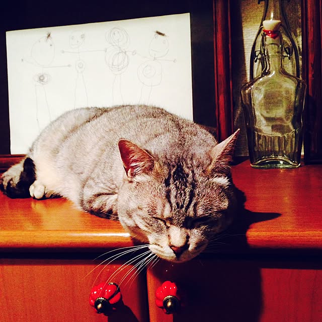 erigooonさんの実例写真