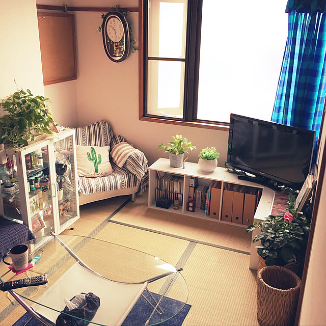 Mikaさんの実例写真