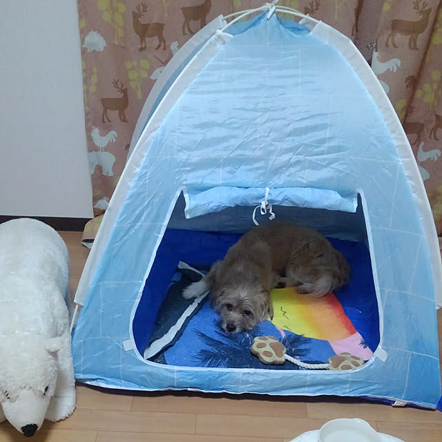 Aiさんの実例写真