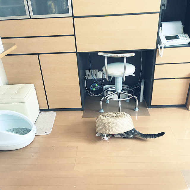 nnmmさんの実例写真