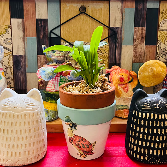 jijiさんの部屋