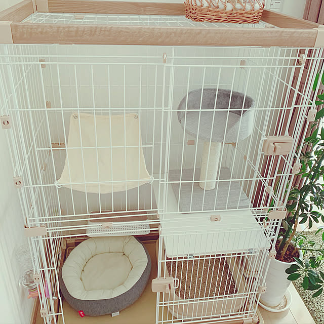 aichinさんの実例写真