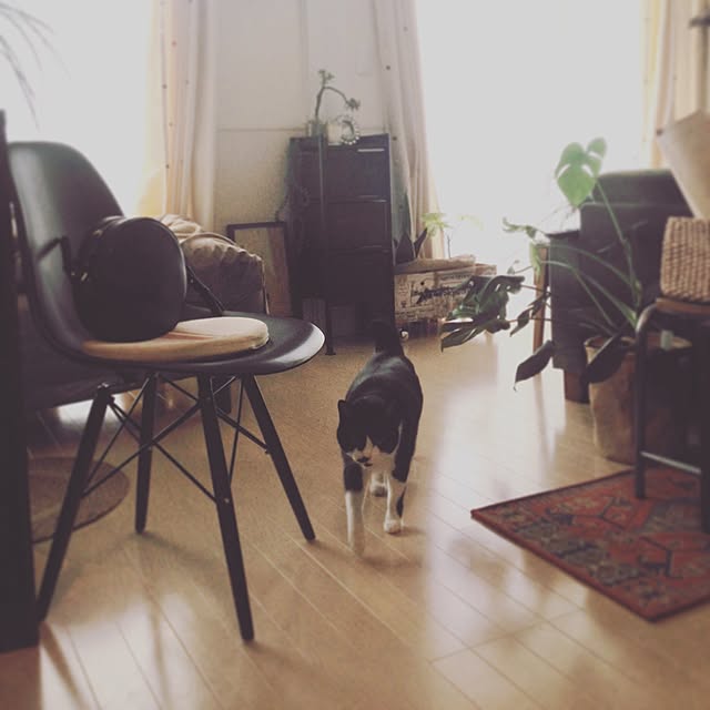 mikasakuさんの実例写真
