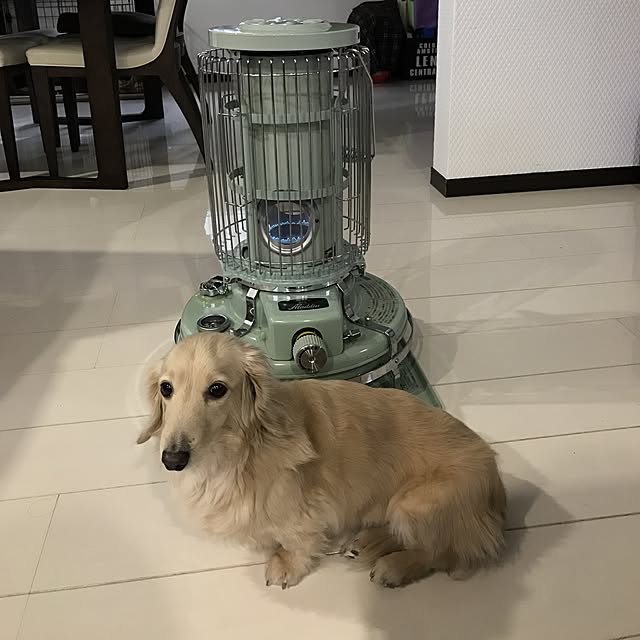 Yuko.Sさんの実例写真