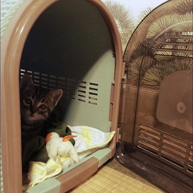 ベッド周り/ラムちゃんのインテリア実例 - 2015-06-06 22:58:32