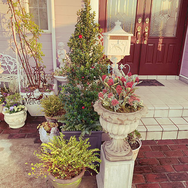 AYUKOさんの実例写真