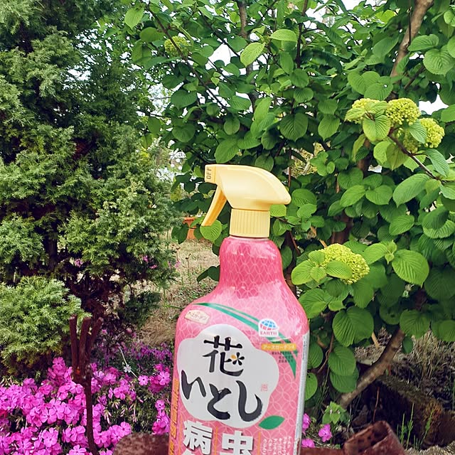 prepreさんの部屋