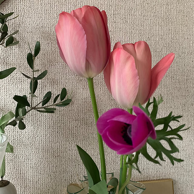 kapiさんの実例写真