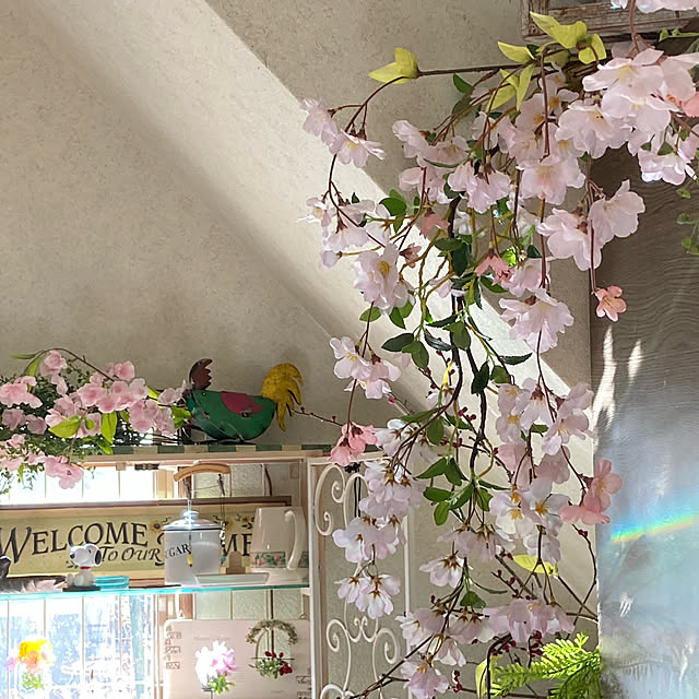 cotaさんの実例写真