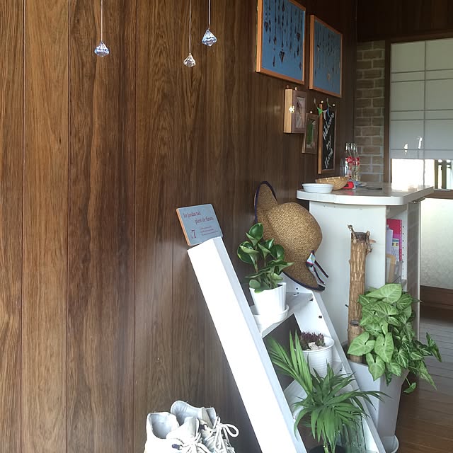 muwaさんの実例写真